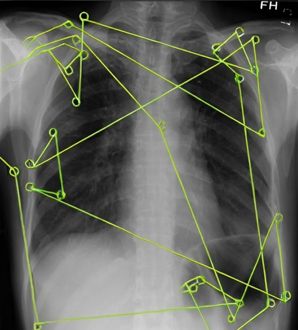 사용적합성 이미지2